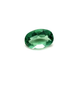 NHB509 - TSavorite - Oval - T. 6x4.0mm