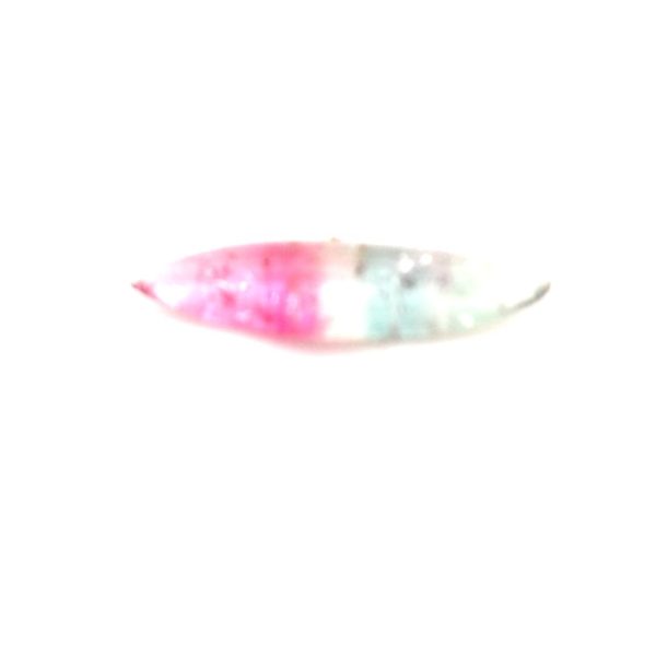 THL134 - Turmalina Bicolor - navete - t. 12x3.5x2.0mm