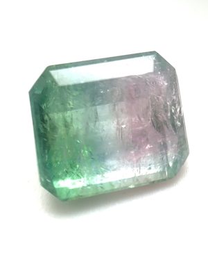 XDI23 - Turmalina Bicolor - T. 11.5x10x6.5mm