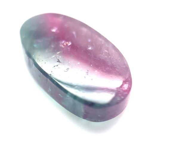 XDI302 - Turmalina Bicolor - T. 18.5x10.5x4.5mm
