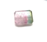 XDI2020 - Turmalina Bicolor - Retangular - T. 8x6.0mm