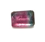 XDI2060 - Turmalina Bicolor - Retangular - T. 9x6x4.0mm