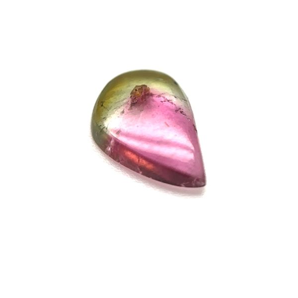 XDI2260 - Turmalina Bicolor - F. Livre - T. 9x6x2.5mm