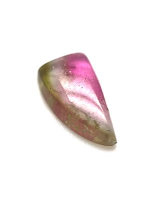 XDI2280 - Turmalina Bicolor - F. livre - T. 10x5x2.0mm