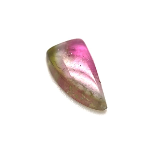 XDI2280 - Turmalina Bicolor - F. livre - T. 10x5x2.0mm