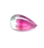 XDI308 - Turmalina Bicolor - T. 10x5.5x3.5mm
