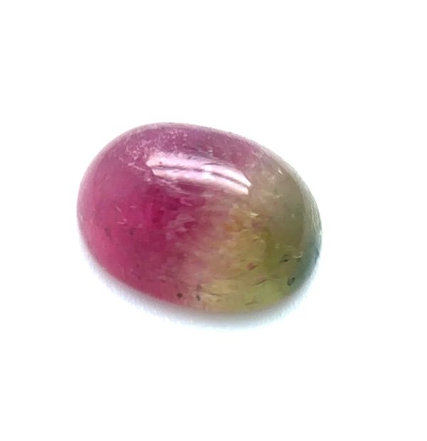 XDI313 - Turmalina Bicolor - Oval - T. 8x6.0mm