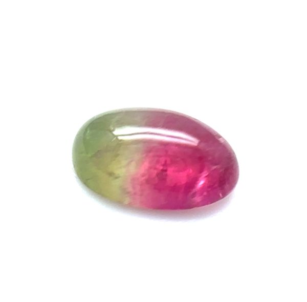 XDI315 - Turmalina Bicolor - Oval - T. 7.5x5x3.0mm