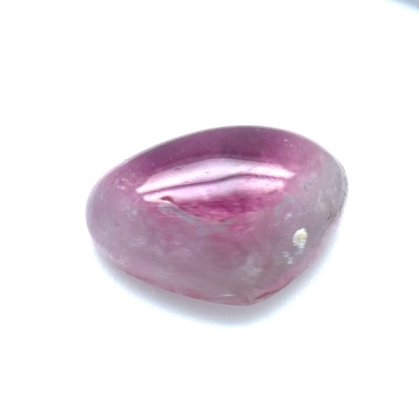 XDI319 - Turmalina Bicolor - T. 13x9.5x4.0mm