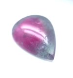 XDI320 - Turmalina Bicolor - Gota - T. 15x11.5x3.5mm