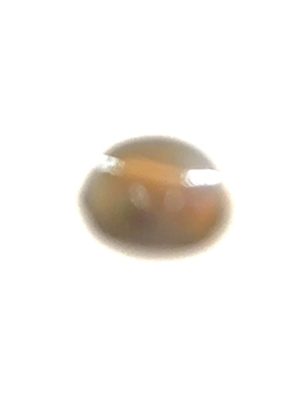 DBH65 - Alexandrita - Olho de Gato - T. 3.0mm